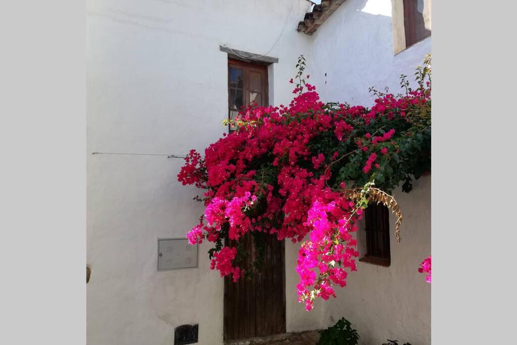 Casa En Fortaleza Medieval カステリャール・デ・ラ・フロンテラ エクステリア 写真